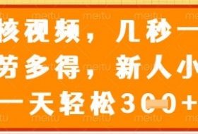 最新审核视频，几秒一单，多劳多得，新人小白一天轻松3张【揭秘】