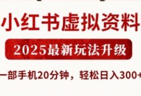 小红书虚拟资料，2025最新玩法升级，一部手机20分钟，轻松日入3张【揭秘】