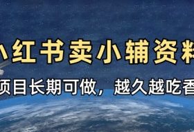小学教辅资料在小红书这样卖，项目长期稳定收益，越久越吃香