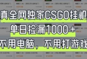 真全网独家CSGO挂G，单日捡漏1k+【揭秘】