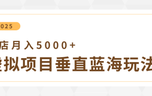 4月虚拟项目垂直玩法，冷门爆品+垂直蓝海，单店月入5000+