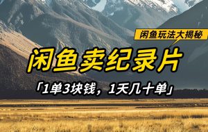 闲鱼卖纪录片，简单又赚钱的小项目，1单3块钱  1天几十单