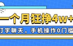 （14340期）一个月狂挣4w+，打字聊天，手机操作0门槛，新手小白都能做！