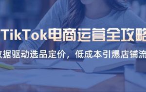 （14343期）TikTok电商运营全攻略，数据驱动选品定价，低成本引爆店铺流量