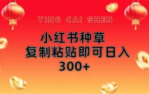 （14350期）小红书种草无脑操作复制粘贴即可日入300+