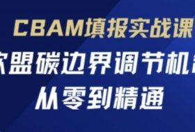 CBAM填报实战课，欧盟碳边界调节机制，从零到精通