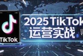 2025TikTok电商运营，掌握TikTok店铺运营核心技巧，实现低成本高转化