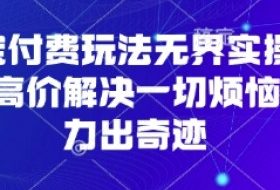 淘宝付费玩法无界实操课程，高价解决一切烦恼，大力出奇迹