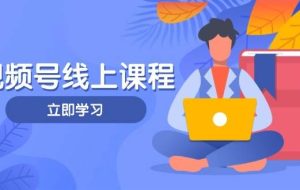 视频号实战课程，轻IP打造与运营技巧，掌握核心方法与策略