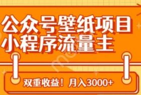 公众号壁纸项目，小程序流量主双收益，月入3000+