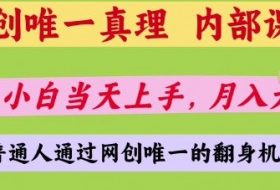 网创唯一真理，内部课程，新手小白当天上手，月入5位数，普通人通过网创唯一的机会【揭秘】