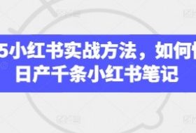 2025小红书实战方法，如何快速日产千条小红书笔记