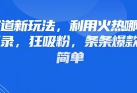 情感赛道新玩法，利用火热哪吒IP做情感语录，狂吸粉，条条爆款，操作简单