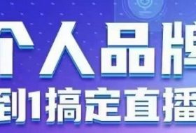 个人品牌：从0到1搞定直播实操，用直播为你的个人品牌赋能，六大实操板块，放大个人影响力