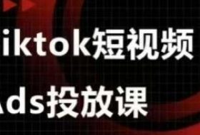 Ads视频投放课，tiktok短视频广告投放课