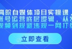 AI高阶自媒体项目实操课，讲透账号运营底层逻辑，从发布视频到规避违规一网打尽