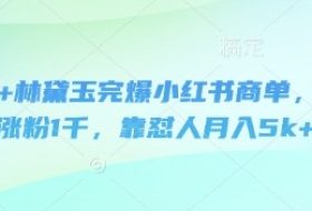 即梦+林黛玉完爆小红书商单，3天涨粉1千，靠怼人月入5k+