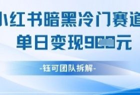 小红书冷门”暗黑”赛道，单日收益多张