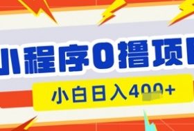 微信小程序小游戏0撸看广告挣收益，小白日入多张