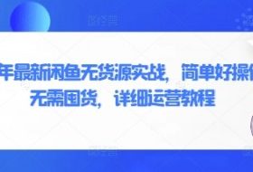 2025年最新闲鱼无货源实战，简单好操作，无需囤货，详细运营教程
