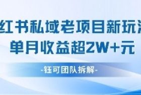 小红书私域项目新玩法，单月变现过W+