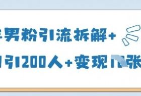 25年男粉引流拆解+单日引200人+变现多张