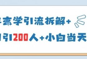 25年国学引流拆解+单日引200人+小白当天就能变现