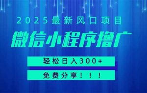 （14375期）微信小程序撸广，最新风口项目，日入300+ 免费分享 可批量操作 小白可…