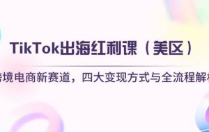 （14382期）TikTok出海红利课（美区）跨境电商新赛道，四大变现方式与全流程解析