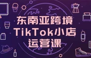 （14390期）东南亚跨境TikTok小店运营课，掌握店铺设置与流量转化核心技巧