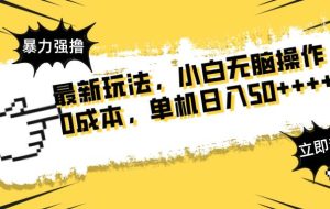 （14400期）最新玩法 广告暴力强撸 傻瓜式操作 无需养鸡 矩阵式操作 可无限放大 单…