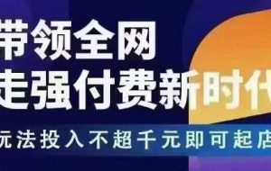 王校长·万金油强付费玩法（更新4月最牛逼的强付费玩法）