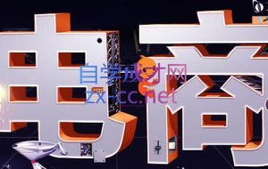 幕思城·淘宝培训VIP课程（更新5月）