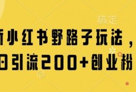最新小红书野路子玩法，单日引流200+创业粉