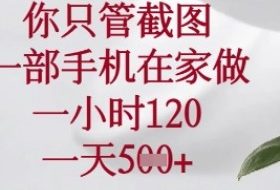 你只管截图，一部手机在家做，苹果安卓都可以，一小时120，一天5张+【揭秘】