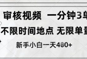 审核视频，10秒一单，不限时间，不限单量，新人小白一天4张+【揭秘】