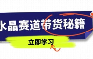 （14406期）水晶赛道带货秘籍，国学结合、短视频起号、拍摄技巧、直播话术等内容