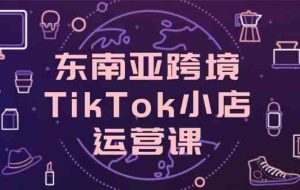 东南亚跨境TikTok小店运营课，掌握店铺设置与流量转化核心技巧