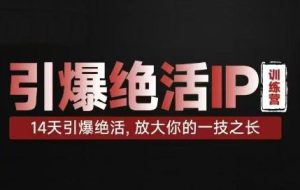 坤龙·引爆绝活IP训练营