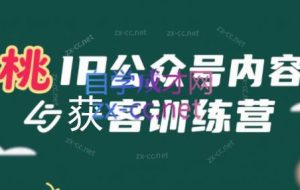 桃子·IP公众号内容获客训练营