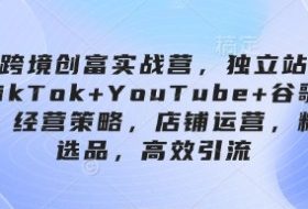 跨境创富实战营，独立站+TikTok+YouTube+谷歌广告，经营策略，店铺运营，精准选品，高效引流