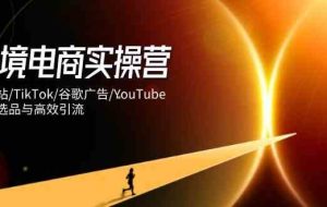跨境电商实操营：独立站/TikTok/谷歌广告/YouTube，精准选品与高效引流