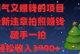 解气又挣钱的项目，最新违章拍照挣钱，随手一拍，轻松收入多张【揭秘】