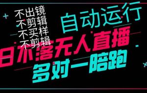 （14432期）日不落无人直播、让你赚到手软，不出镜 不剪辑 不囤货  不买样日赚1000…