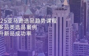 （14434期）2025亚马逊选品趋势课程，含多品类选品案例，提升新品成功率