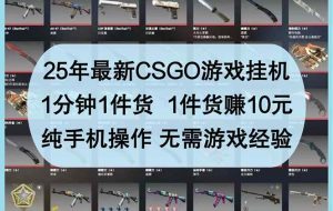 （14439期）25年最新CSGO游戏自动运行，1分钟1件货，1件货赚10元 纯手机操作 无需游戏经验