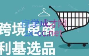 阿甘·亚马逊跨境电商选品案例（更新4月）