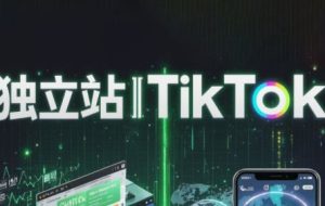 交个朋友·2025独立站全栈运营+TikTok达人全流程实操