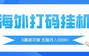 （14449期）海外打码平自动运行项目，全自动撸美金，无脑月入5000+