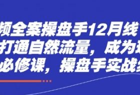 短视频全案操盘手12月线下课，如何打通自然流量，成为现象级IP必修课，操盘手实战经验